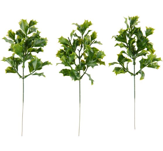 Gałązka ostrokrzewu VBS