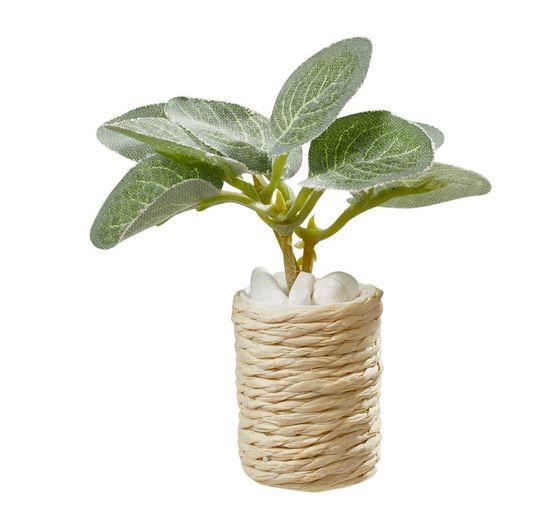 Miniature set "Houseplants"