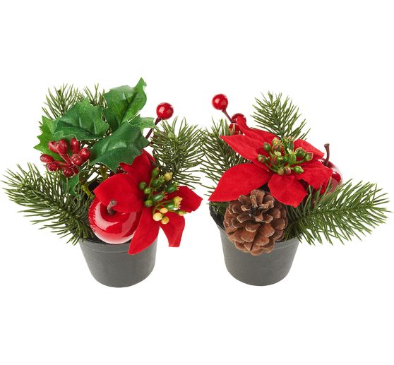 Świąteczna aranżacja z jodłą w doniczce, 2 szt.