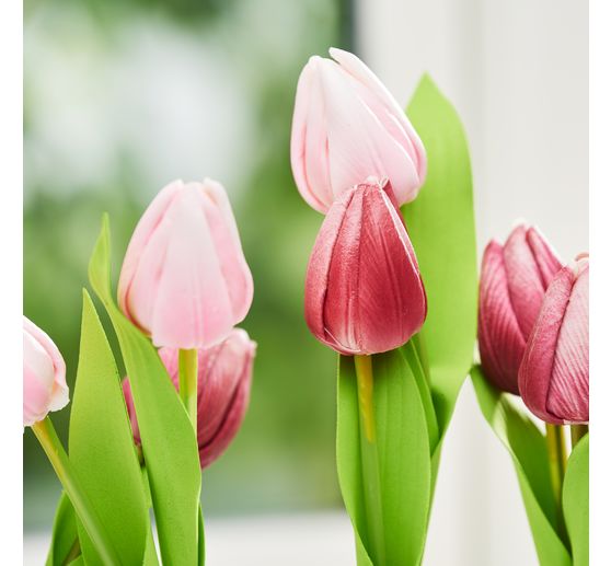 VBS Tulipan "Tammie"