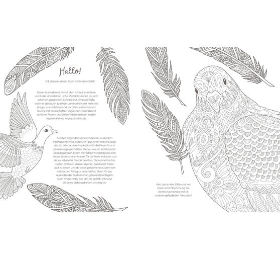 Book "Winterliche Vogelwelt"