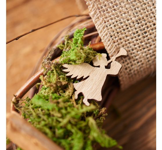 Wieniec wierzbowy "Tobi"