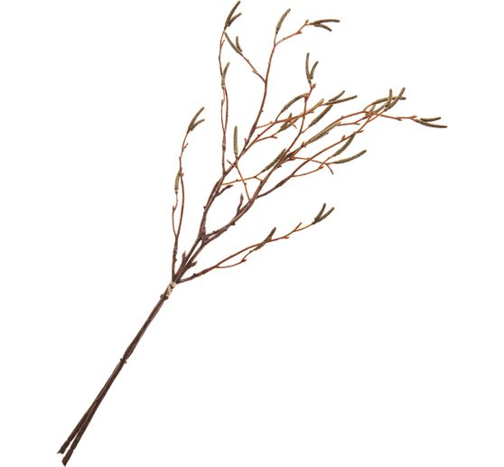 Wiązka gałęzi brzozy