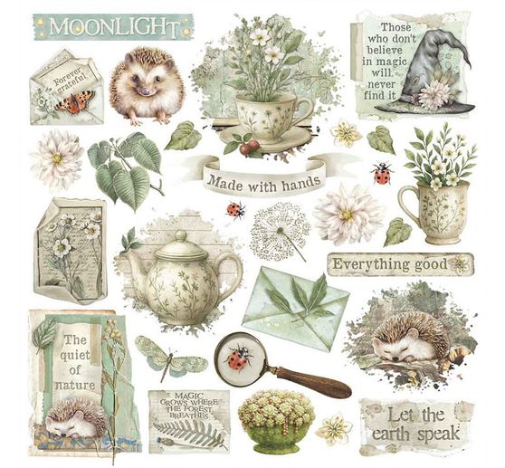 Rub On asortyment "Herbarium Silvae"