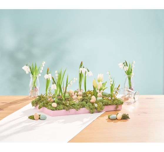 Konwalia z korzeniami