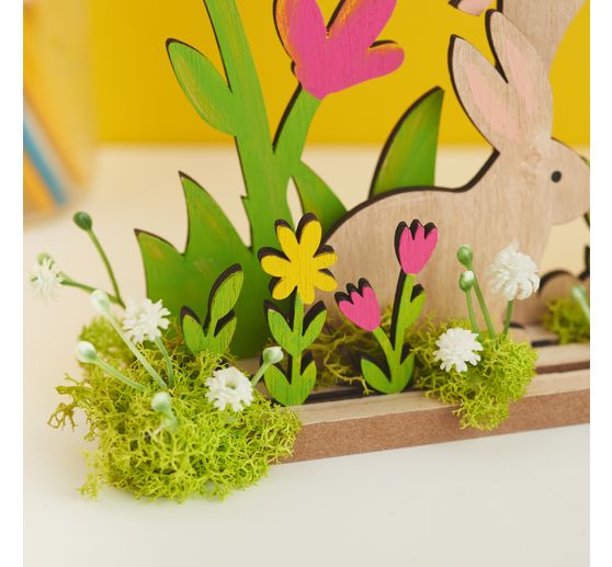 Kwiat wdowy polnej "Evergreen"