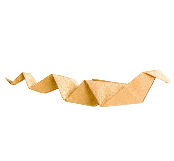 Książka "Faszinierende Origami-Tierparade"