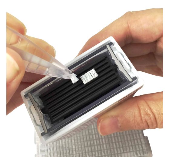 COLOP Craft Labeler Marking Set