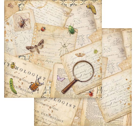 Blok do scrapbooking "All Around"