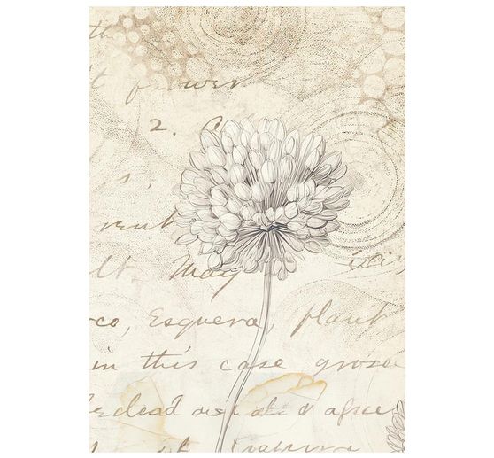 Motif straw silk backgrounds "All Around", DIN A6, set of 8