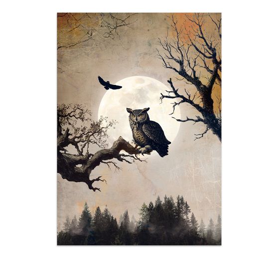 Junk Journal Book Stamperia "Halloween"