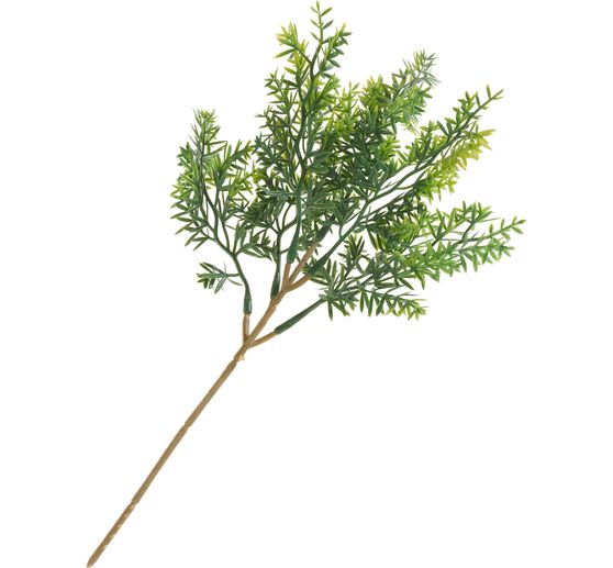 Gałązka liści "Thymus"