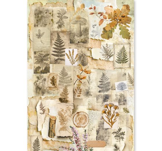 Motyw papier ryżowy asortyment Ciao Bella "The Nature Journal", zestaw 8 sztuk