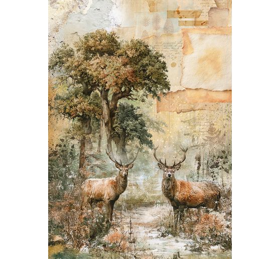 Motyw papier ryżowy asortyment Ciao Bella "The Nature Journal", zestaw 8 sztuk