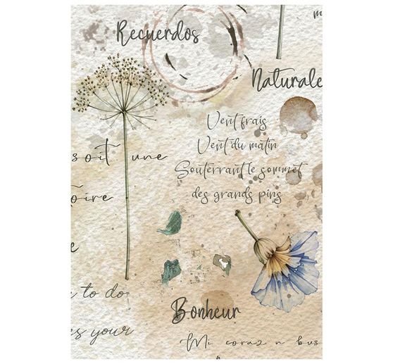 Motyw ryżowy asortyment Stamperia "Flowers and Poems", DIN A6, zestaw 8 sztuk