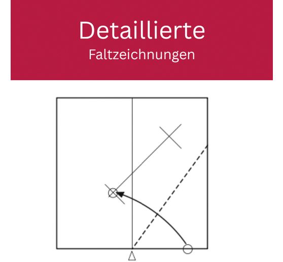 Książka "Zarte Origamisterne (kreativ.kompakt.)"