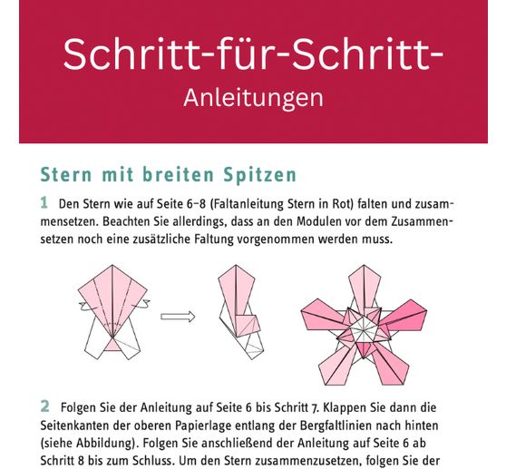 Książka "Zarte Origamisterne (kreativ.kompakt.)"