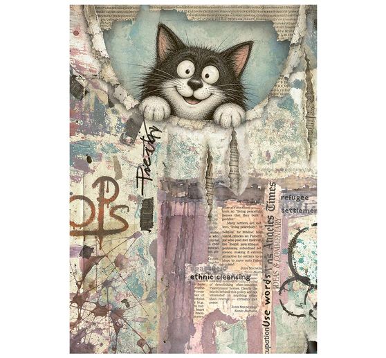 Motyw ryżowy asortyment Stamperia "Furry Friends 2", DIN A6, zestaw 8 sztuk