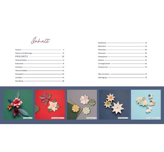 Książka "Origami - Winter Flowers"
