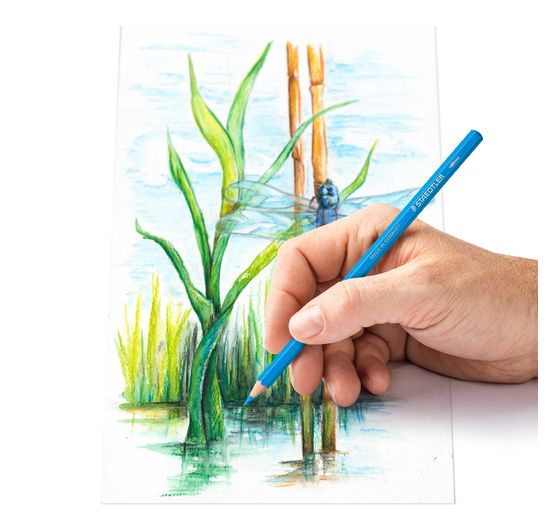 Kredki oł&oacute;wkowe STAEDTLER w metalowym pudełku