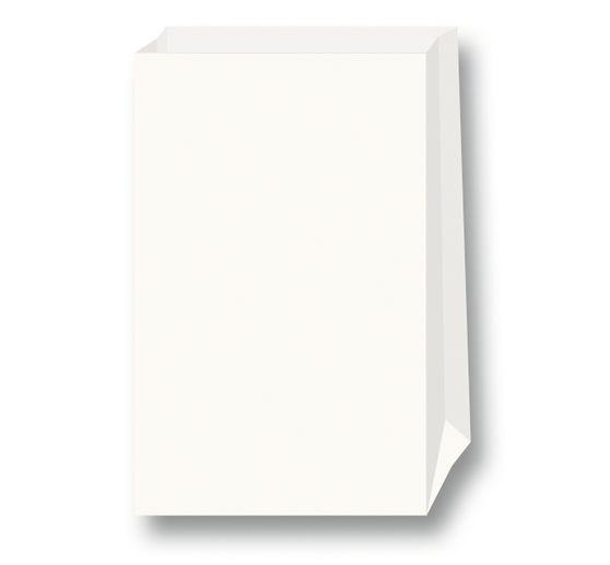 Paper bags, blank, block bottom