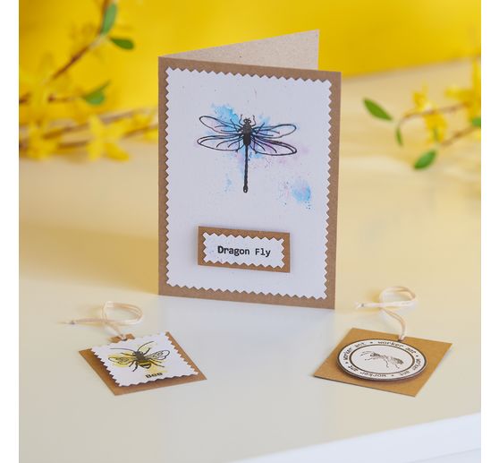 Pudełko na akwarele AKADEMIE z 24 półmiskami