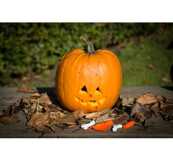 Zestaw do rzeźbienia w dyni, 5 szt.