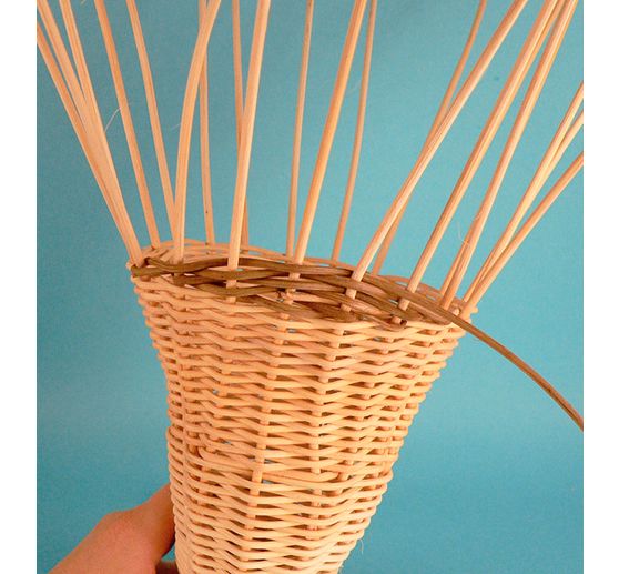 Książka "Faszination Peddigrohr"