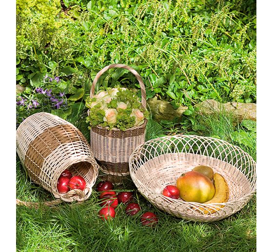 Książka "Faszination Peddigrohr"