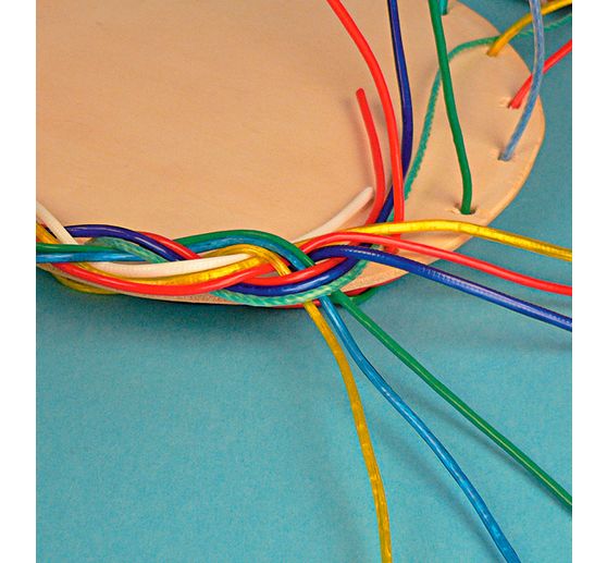 Książka "Faszination Peddigrohr"