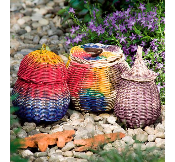 Książka "Faszination Peddigrohr"