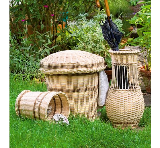 Książka "Faszination Peddigrohr"