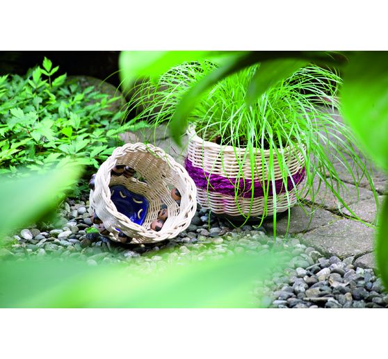 Książka "Faszination Peddigrohr"