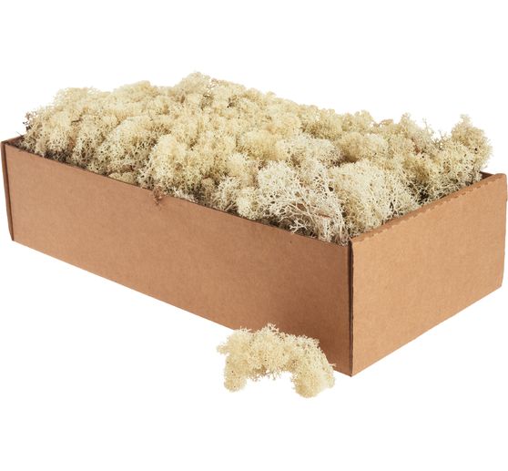 Mech islandzki, 400 g