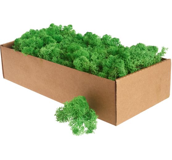 Mech islandzki, 400 g