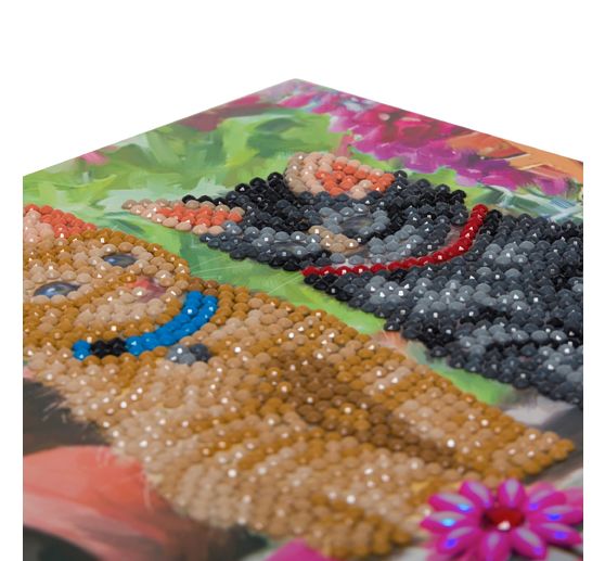 Diamond Painting "Crystal Art Card"