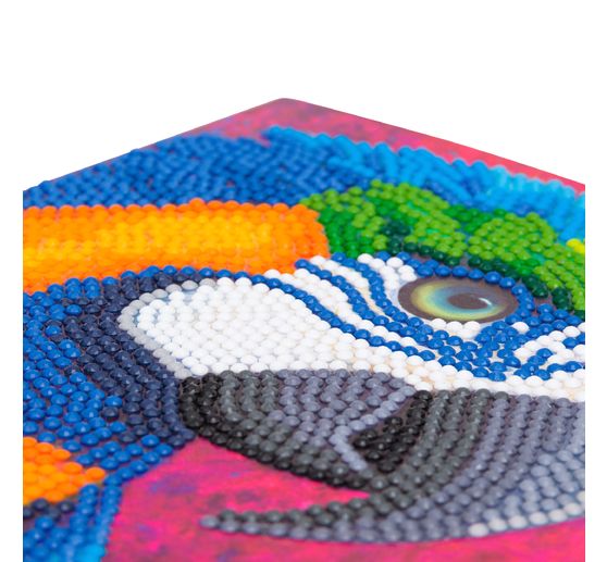 Diamond Painting "Crystal Art Card"