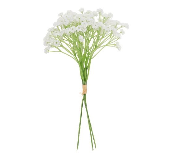 Kiście VBS Gypsophila "Florissa"
