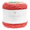 Rico Design Ricorumi "Spin Spin" Rainbow