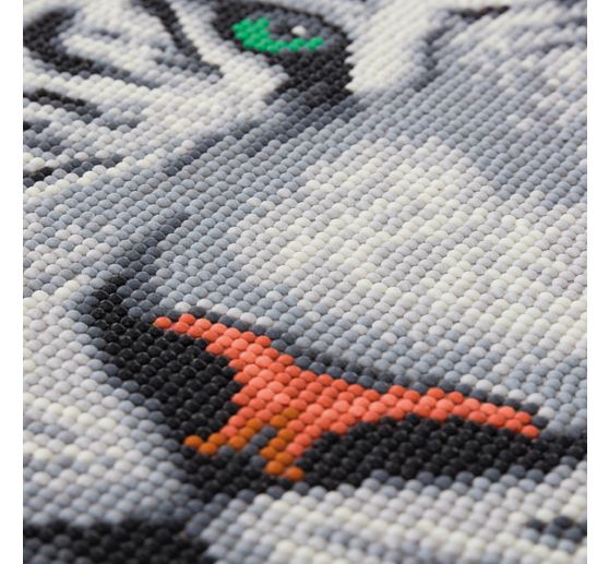 Diamond Painting "Crystal Art Kit", 30 x 30 cm