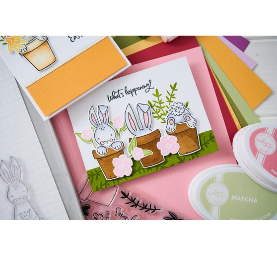 Szablon do wykrojników Sizzix Thinlits autorstwa Catherine Pooler