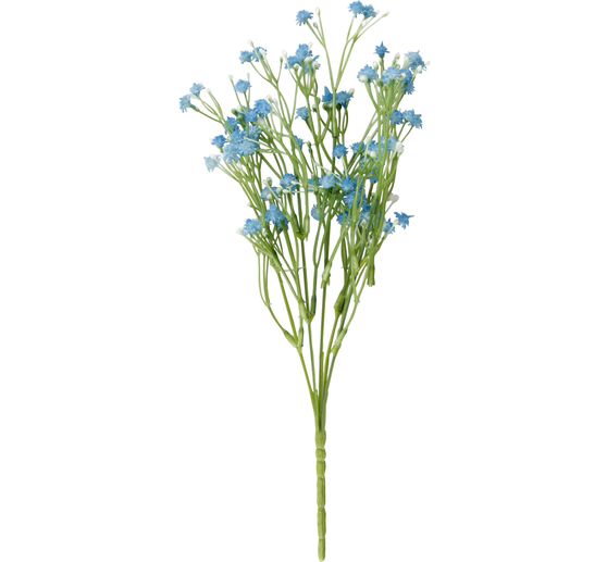 Kwiat wdowy polnej "Evergreen"