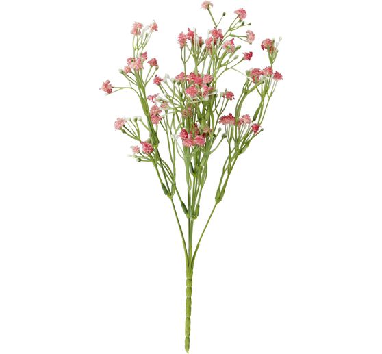 Kwiat wdowy polnej "Evergreen"