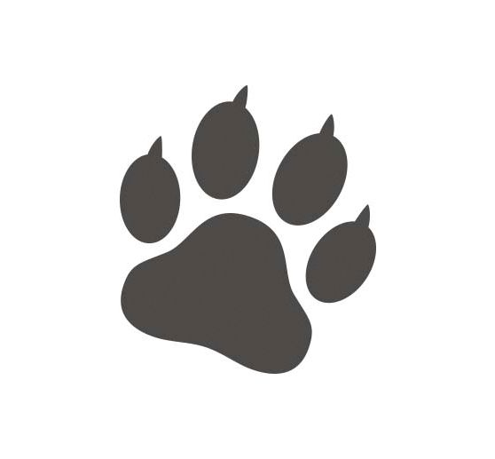 ColOp Cleany Stamp hand wash stamp