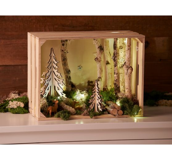 Gałęzie brzozowe VBS "Dalke", 10 szt.