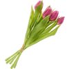 Tulips bunch with 3 flowers and 2 buds Fuchsia
