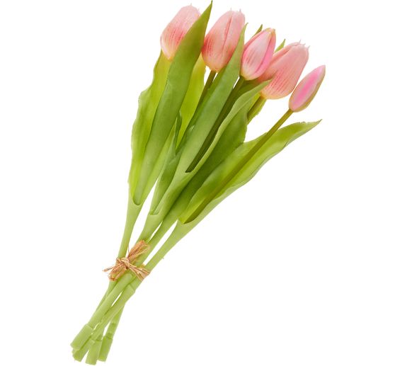 Tulips bunch with 3 flowers and 2 buds