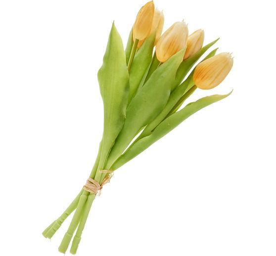 Tulips bunch with 3 flowers and 2 buds