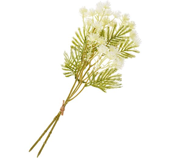 Gałąź kwiatostanowa