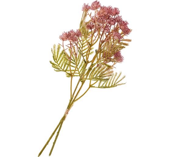 Gałąź kwiatostanowa